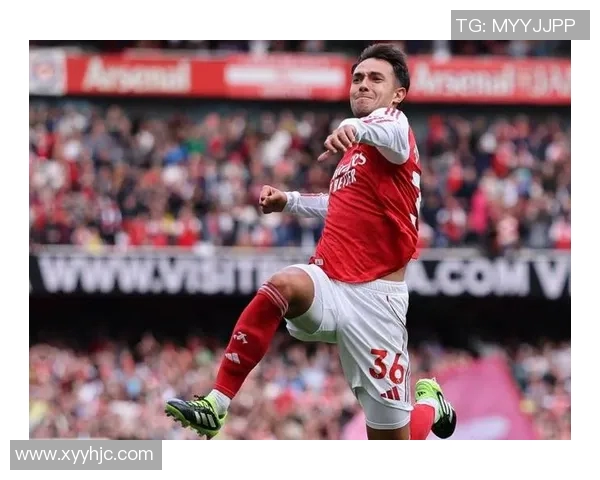 足球明星小狐狸的精彩瞬间与独特魅力尽在这组照片中展现