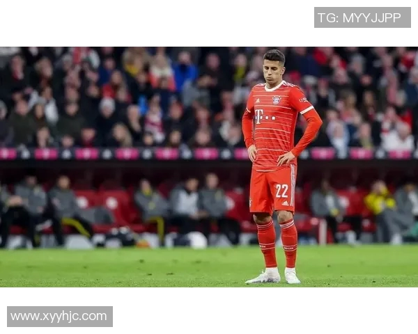 坎塞洛在足球场上的精彩表现与未来发展潜力分析